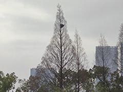 -靓虾二哥长沙地标小龙虾(五一广场店)