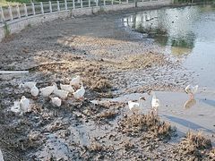 -保定东湖公园(莲池区)