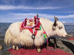 -青海湖国家重点风景名胜区