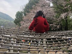 -杭州少年儿童公园