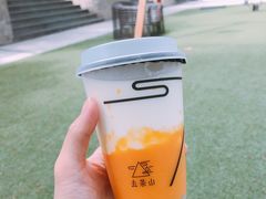 -去茶山