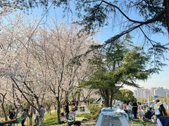 -上海月湖雕塑公园