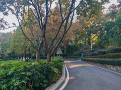 -上海市保健医疗中心