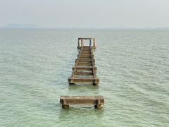-贡湖湾湿地公园