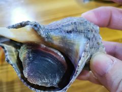 -庆余生平价生猛海鲜(海棠湾林旺夜市店)
