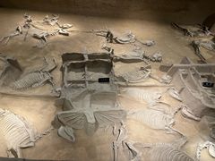 -洛阳周王城天子驾六博物馆