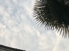 -八路军西安办事处纪念馆
