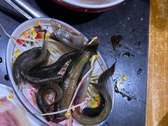 -捞锅坝子老火锅(汽博中心店)