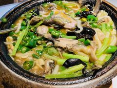 石锅黄辣丁-川知味(京华城店)