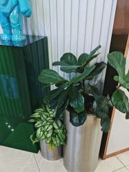 -AIST爱思特医疗美容医院