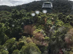 -热带雨林自然公园