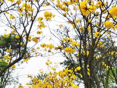 -文华公园(禅城区)