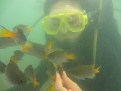 -涠洲岛南湾海洋运动公园