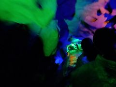 -泰安地下龙宫景区