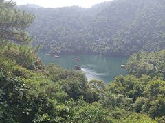 -鼎湖山风景区