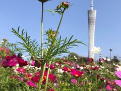 -二沙岛艺术公园