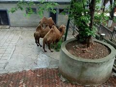 -昆明动物园