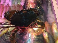 -鑫悦楼煎蟹·16年海鲜大排档