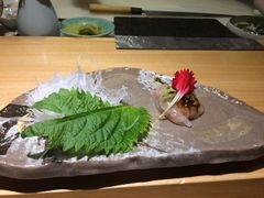 -鲤·鮨KOISUSHI