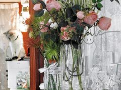 -共舞时光猫咖·狗咖(新街口店)