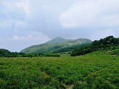 -白草畔自然风景区