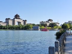 -莲花池公园