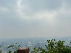 -杭州半山国家森林公园