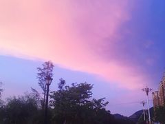 -泰菩提树下·泰式按摩SPA(沙坡尾店)