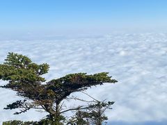 -峨眉山风景名胜区