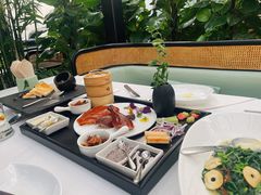 -梧桐