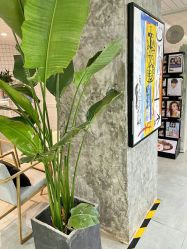 -悠巷形象设计