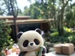-杭州动物园