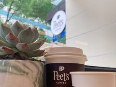 -Peet's Coffee皮爷咖啡(大学路店)