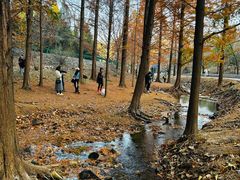 -白水寺森林公园