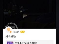 -宝岛甲壳虫KTV(蓝天路店)
