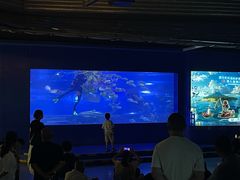 -重庆欢乐海底世界