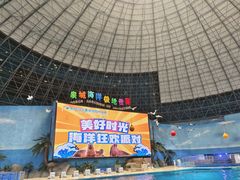 -泉城欧乐堡海洋极地世界