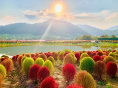 -径山花海