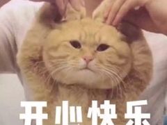 -长藤鬼校(千禧店)