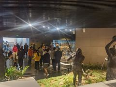 -北京周口店北京人遗址博物馆