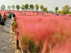 -汉长安城未央宫国家考古遗址公园