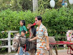 -灵玲国际马戏城