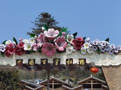 -贵州百里杜鹃风景名胜区