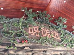 -呀诺达热带雨林