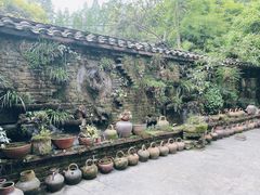 -青城甲(青城山店)