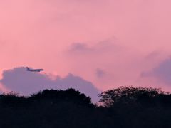 -朱家尖南沙景点