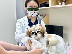 -美联众合动物医院·24h京西诊疗中心