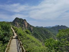 -大岭沟猕猴桃谷风景区