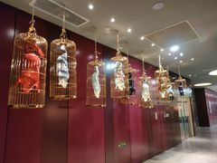 -悦江(梅奔中心店)