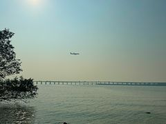 -宝安西湾红树林湿地公园